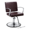 Duke Hair Salon Styling Chair - Mocha - Factory-Direct Clearance Sale