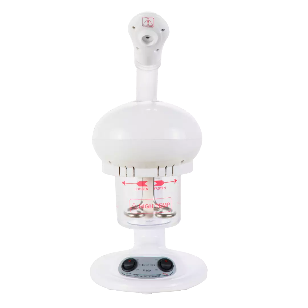 Mini Facial Steamer