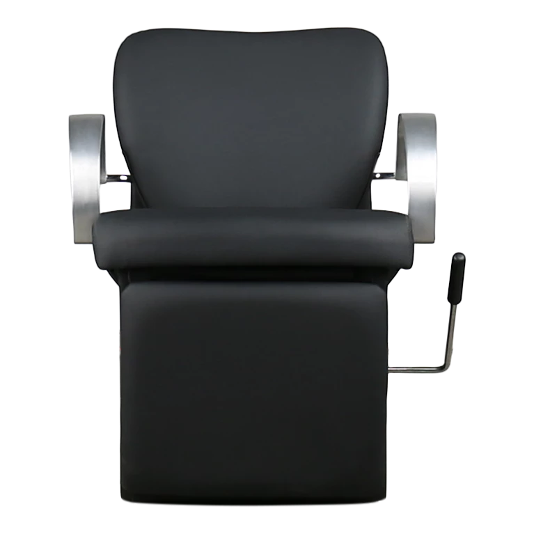 Amilie Shampoo Chair with Legrest