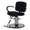 Amber All-Purpose Chair