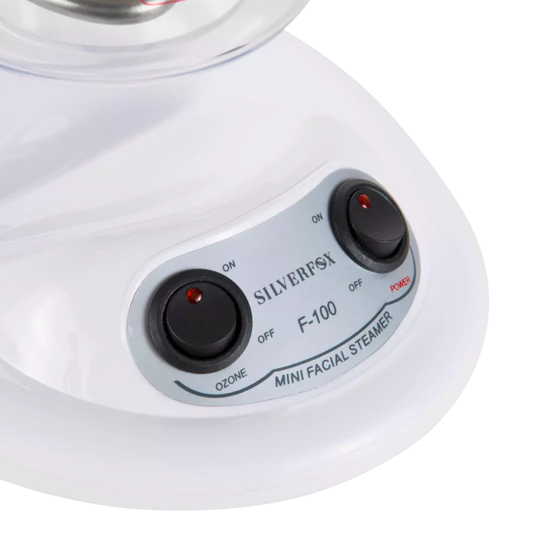 Mini Facial Steamer