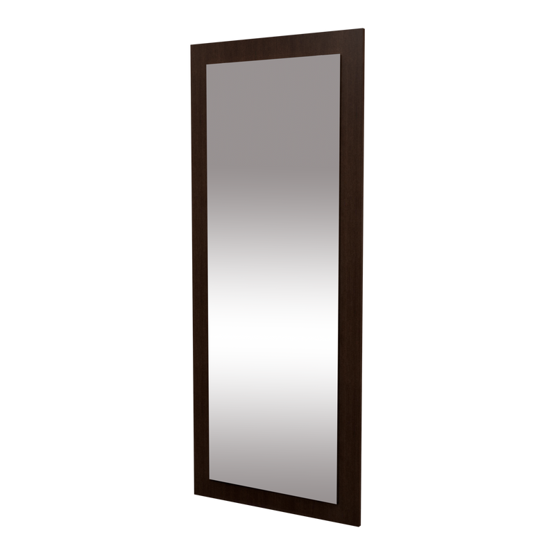 Frost American-Made Wall Mounted Mirror Panel